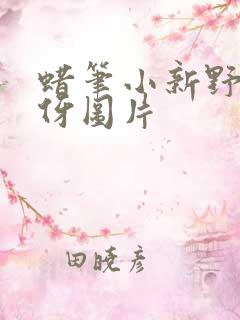 蜡笔小新野原美伢图片