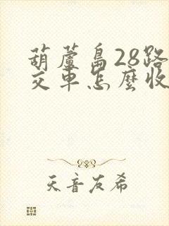 葫芦岛28路公交车怎么收费