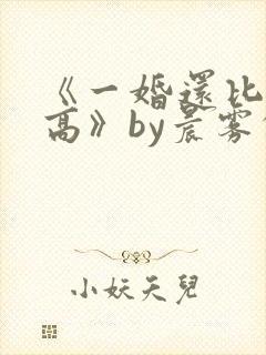 《一婚还比一婚高》by晨雾的光