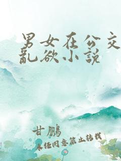 男女在公交车上乱欲小说