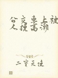 公交车上被陌生人摸高潮