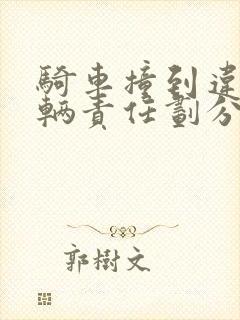 骑车撞到违停车辆责任划分