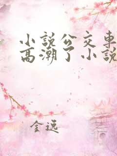 小说公交车被上高潮了小说