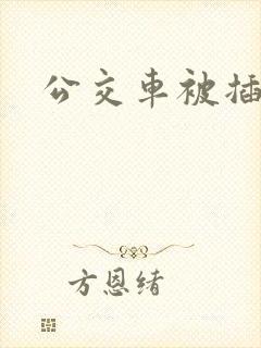 公交车被插入