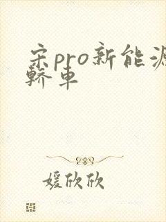 宋pro新能源轿车