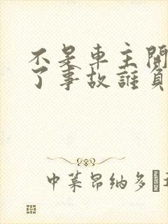 不是车主开车出了事故谁负责