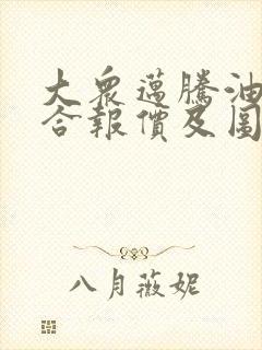大众迈腾油电混合报价及图片