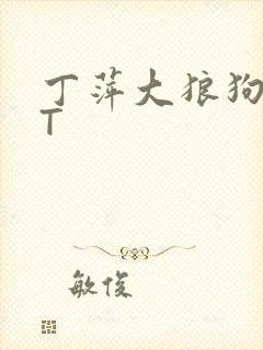 丁萍大狼狗TXT