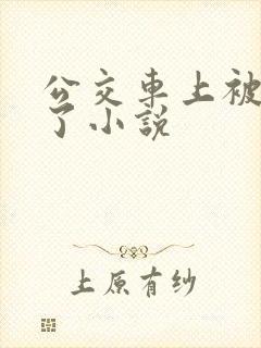 公交车上被乱操了小说