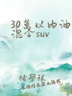 30万以内油电混合suv