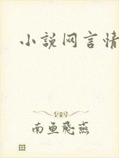 小说网言情小说
