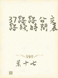 37路路公交车路线时间表