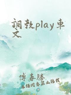 调教play车文