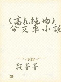 (高h,纯肉)公交车小说