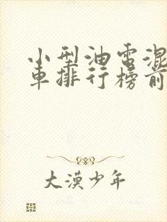 小型油电混合汽车排行榜前十名品牌