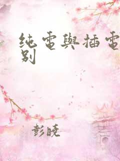 纯电与插电的区别