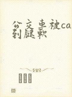 公交车被cao到腿软