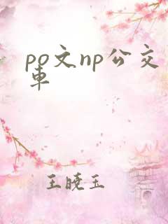 po文np公交车