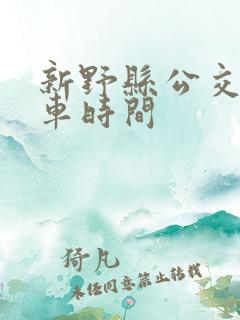 新野县公交车发车时间