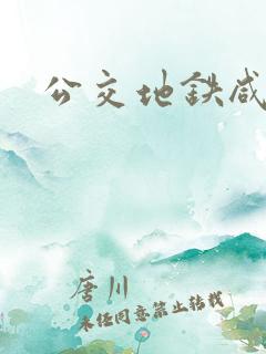 公交地铁咸猪手