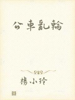 公车乱轮