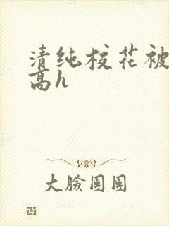 清纯校花被调教高h