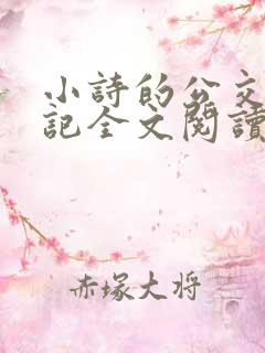 小诗的公交车日记全文阅读