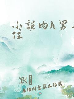 小说肉h男二上位
