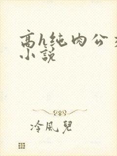 高h纯肉公交车小说