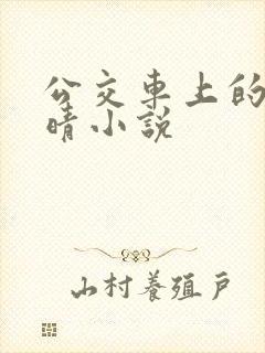 公交车上的诗请晴小说