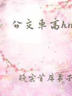 公交车高hnp
