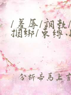 /羞辱/调教/捆绑/束缚小说