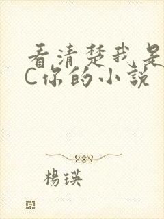 看清楚我是怎么C你的小说
