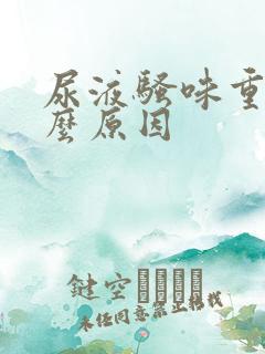 尿液骚味重是什么原因