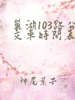 巢湖103路公交车时间表