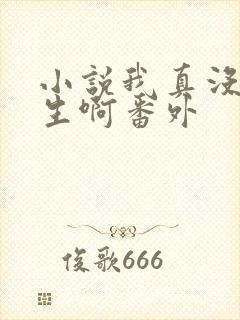 小说我真没想重生啊番外