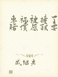 车祸被撞了怎么赔偿应该要哪些费用