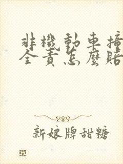 非机动车撞行人全责怎么赔偿