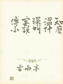 傅宴琛温知意的小说叫什么名字?