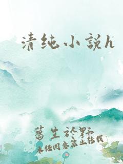 清纯小说h