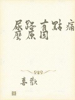 尿路有点痛是什么原因