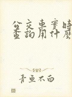 公交车实时到站查询用什么软件