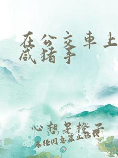 在公交车上遇到咸猪手