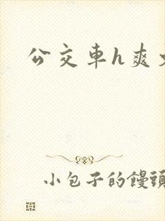 公交车h爽文
