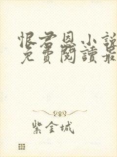 恨君恩小说全文免费阅读最新章节