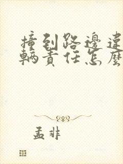 撞到路边违停车辆责任怎么划分