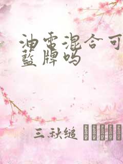 油电混合可以上蓝牌吗