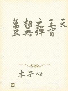 万相之王天蚕土豆无弹窗