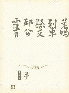 霍邱县到叶集区有公交车吗