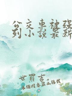 公交车被强d系列小说最新章节